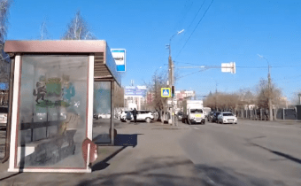 W004bus Бассейн Дельфин (из центра)