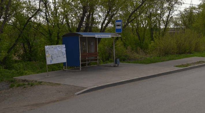 W009bus Варгашинский переулок (в центр)