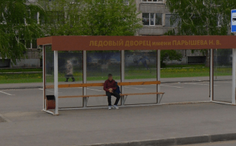 Z028bus Ледовый дворец
